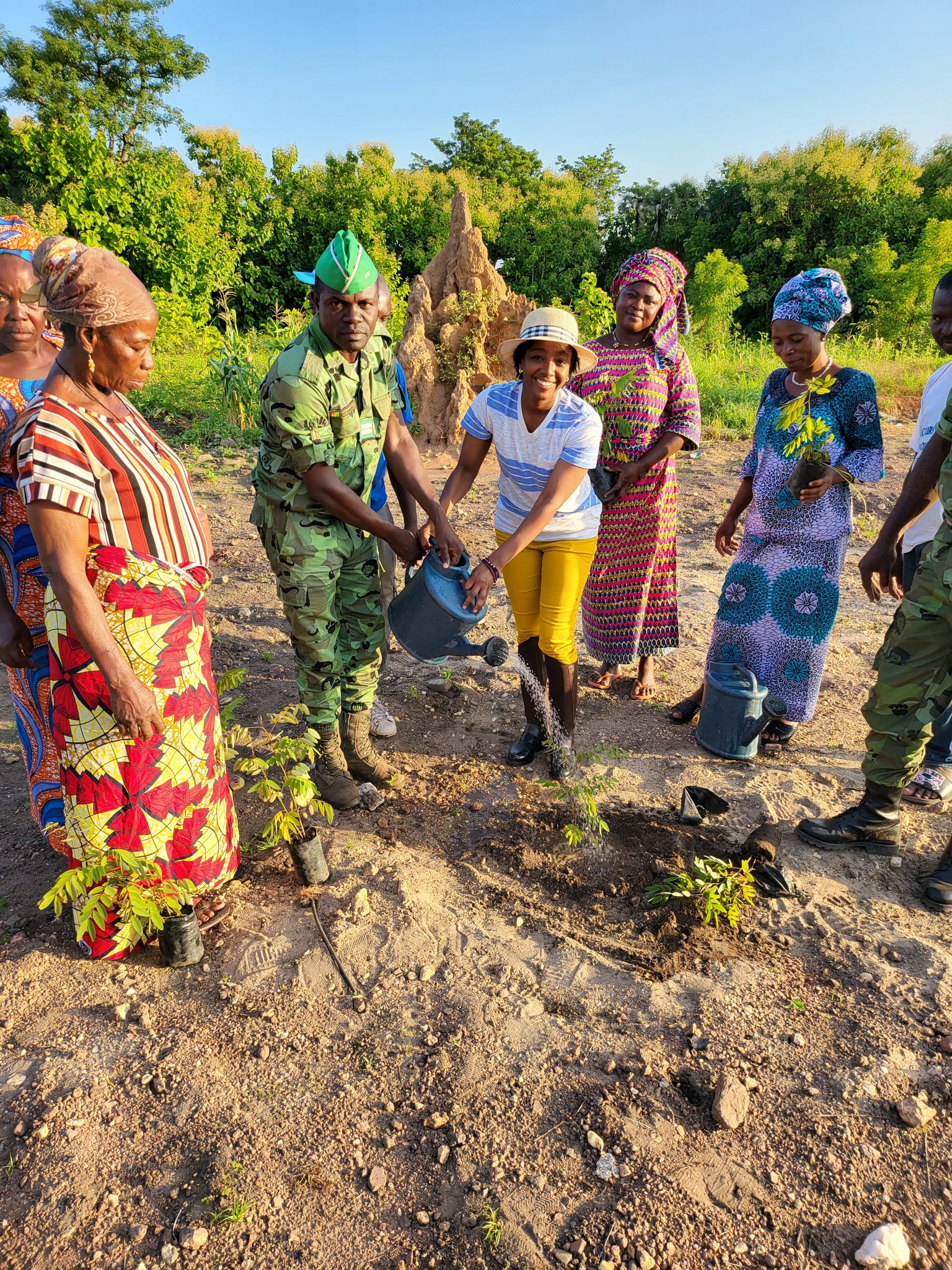 Activité De Reboisement